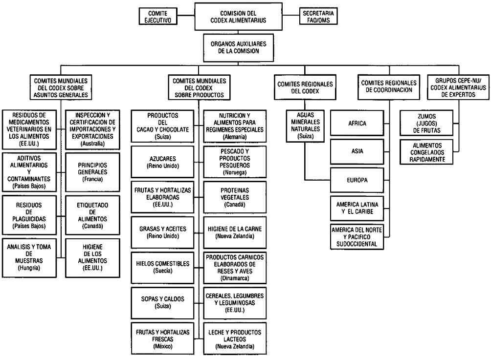 estructura-comision-codex.jpg