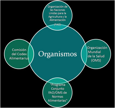 organismos-comision.jpg